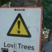 Love trees