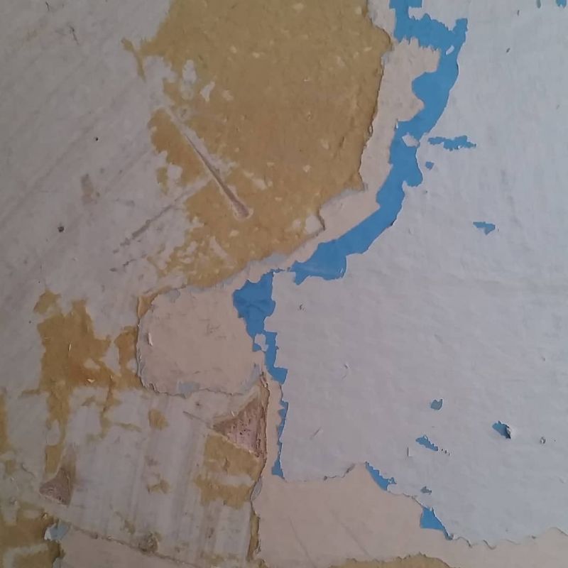 Today I am a HOT STRIPPER chez @harriet__barnes and have counted _four_ layers of bathroom paint including Ivory, Duck Egg and Mental Institution Blue.