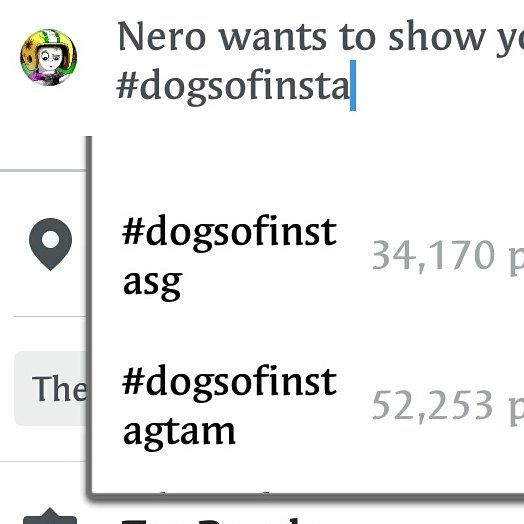 Apparently being a dog lover means forgetting how to spell