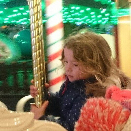 Carousel at Winter Wonderland