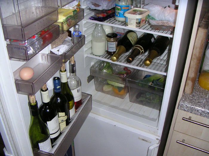 my kind of fridge