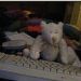 jaymeekae:omg I just realised im using up my bandwidth WATCHING a static image of a teddybear